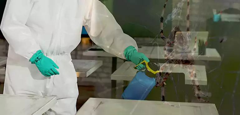 Why Buyers Still Want Homes With Pest Infestations in Montana, MT?