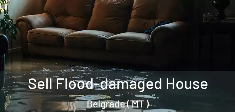  Sell Flood-damaged House Belgrade ( MT )