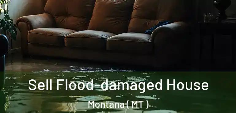  Sell Flood-damaged House Montana ( MT )