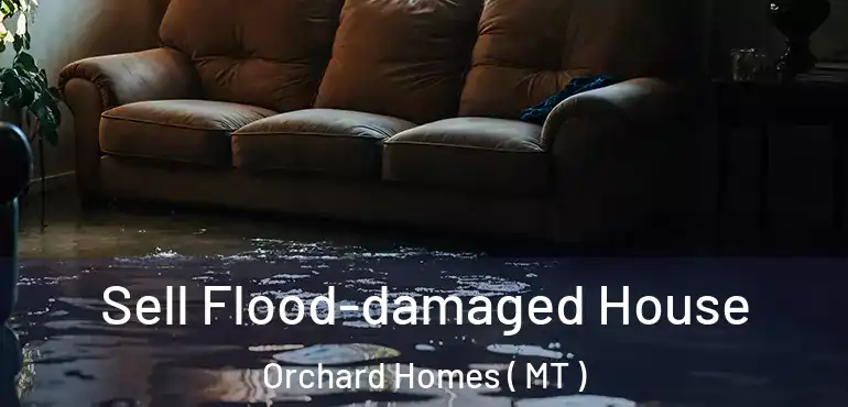  Sell Flood-damaged House Orchard Homes ( MT )