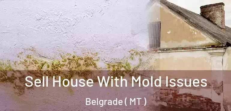  Sell House With Mold Issues Belgrade ( MT )