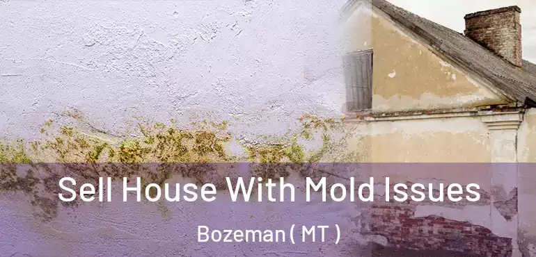  Sell House With Mold Issues Bozeman ( MT )