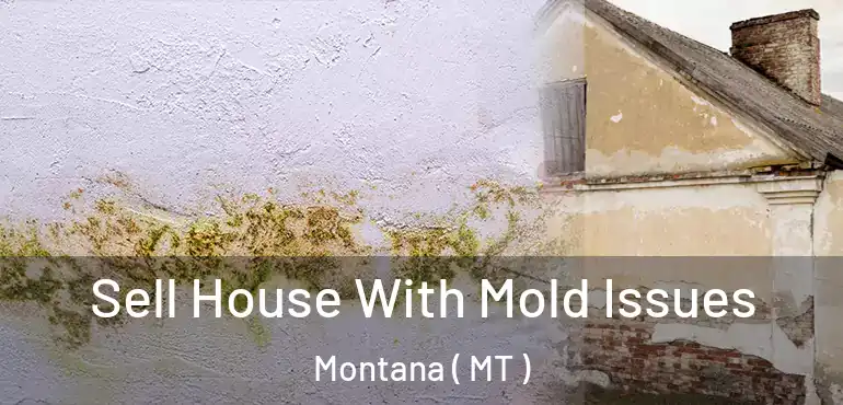  Sell House With Mold Issues Montana ( MT )