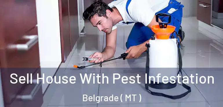  Sell House With Pest Infestation Belgrade ( MT )