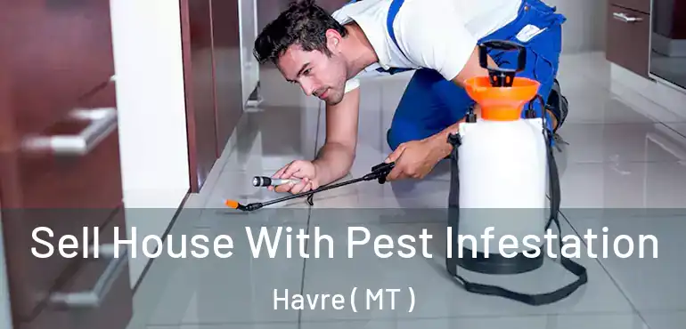  Sell House With Pest Infestation Havre ( MT )